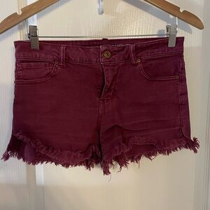 Vanilla Star Burgundy Frayed Micro Mini Y2K Jean Shorts